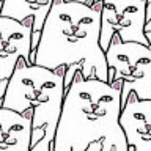 Meet your Posher, Ƭӭяmiпλƭσ